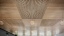 Wood Look Acoustic ceiling